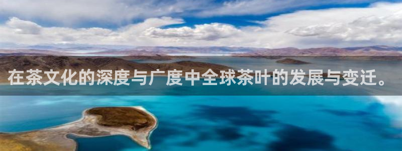 金年会官方客服电话