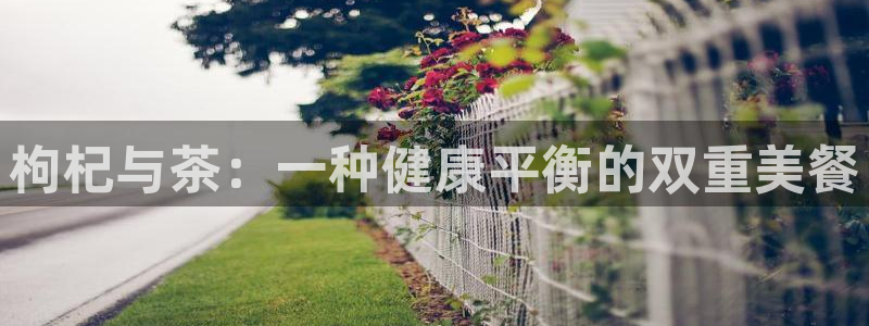 金年会APP黑钱