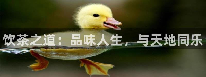 今金年会