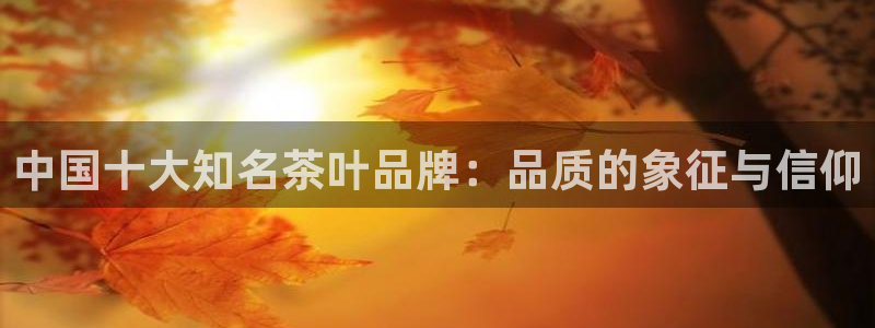 金哥年会
