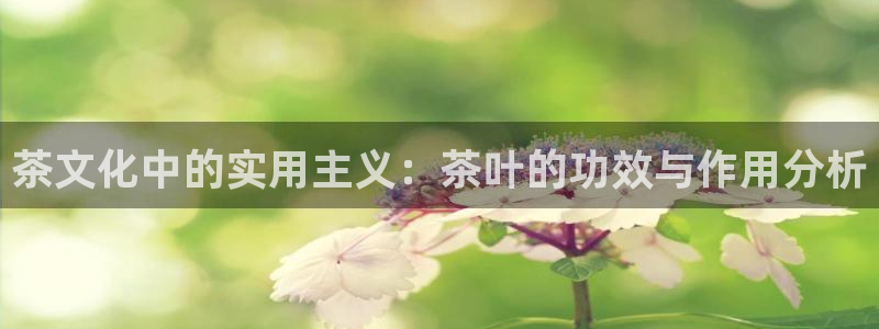金年会体育娱乐
