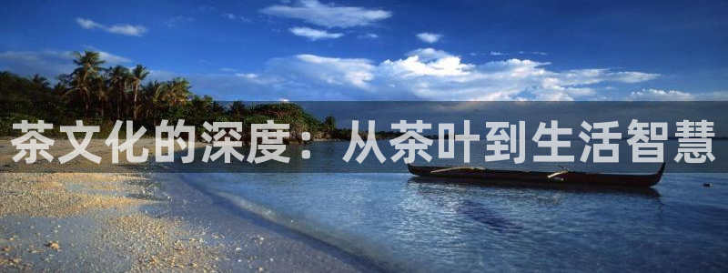 金年会体育app下载