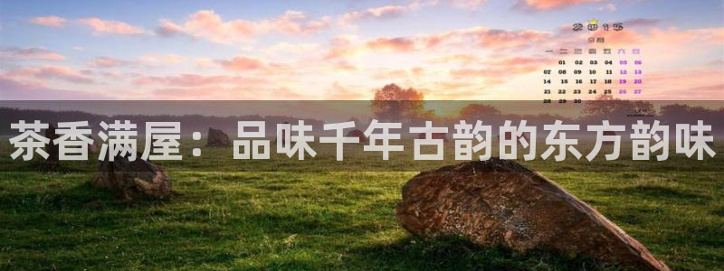 金实年会