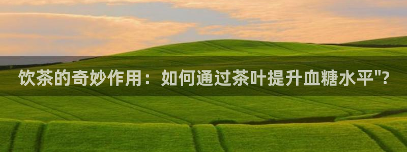 金年会是正规的吗