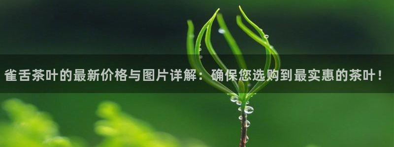 金年会金字招牌信誉