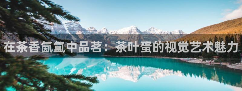 金年会体育app下载