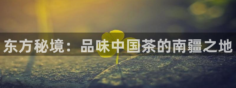 金年会官网地址