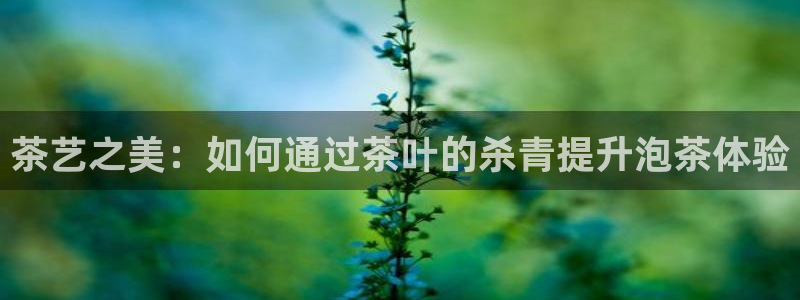 金年会开户