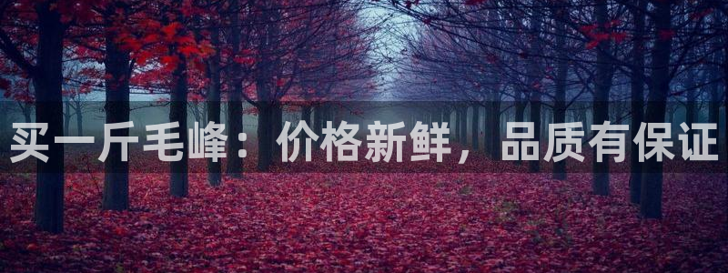 金雅陶瓷年会现场