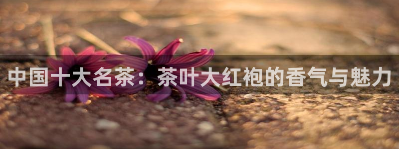 金年会最新官网