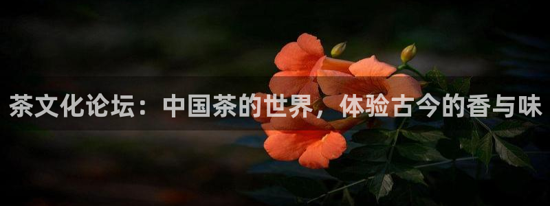 体育金年会
