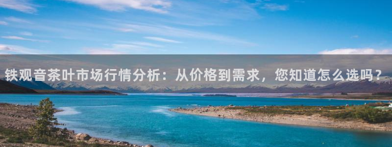 金年会体育官网在线