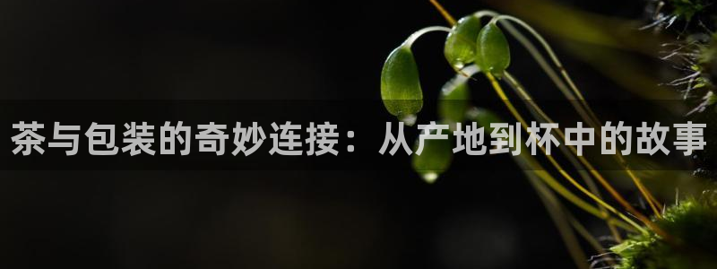 金年会信誉