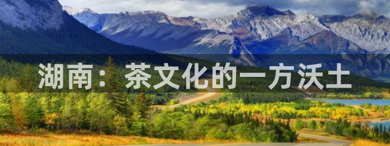 金齿科年会