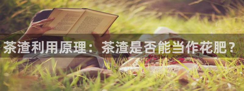 金年会下载官方