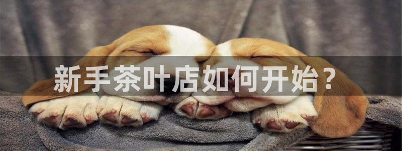 金年会app桌面