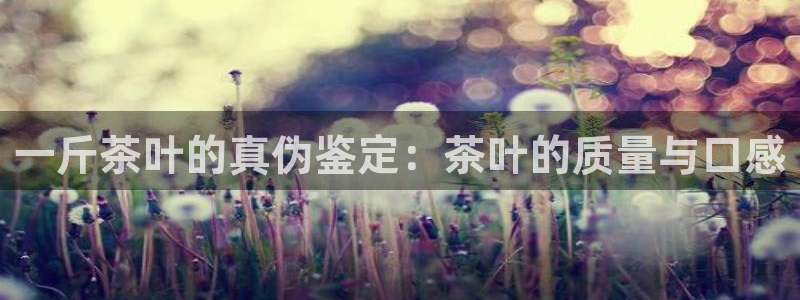 金年会平台包赔