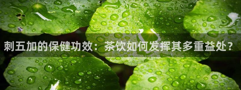 金年会娱乐下载app