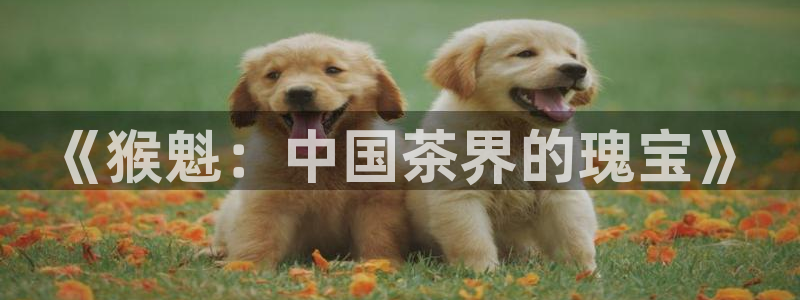 金年会登录平台入口