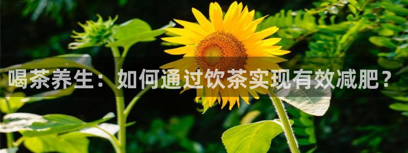 金年会不给提现