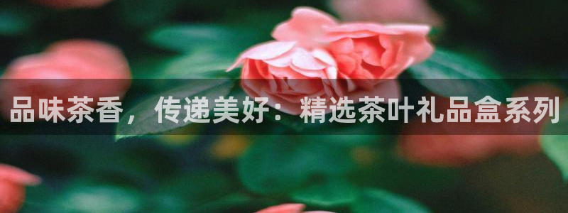金年会手机app