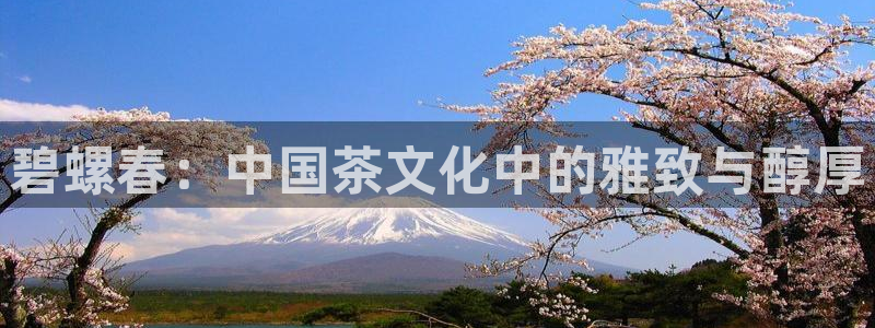 金年会官方客服电话