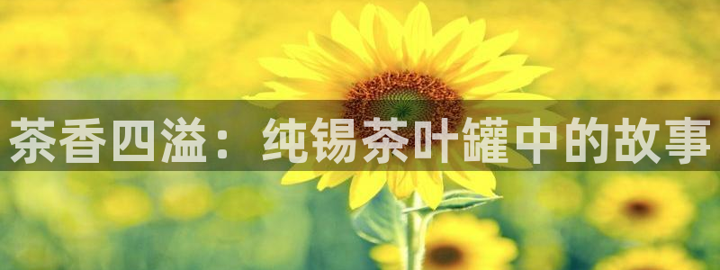 金年会提款