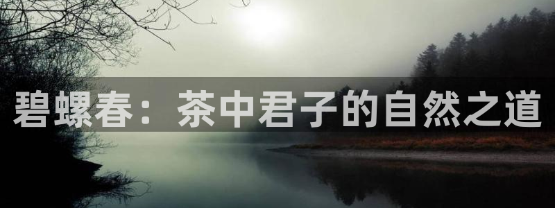 金年会com