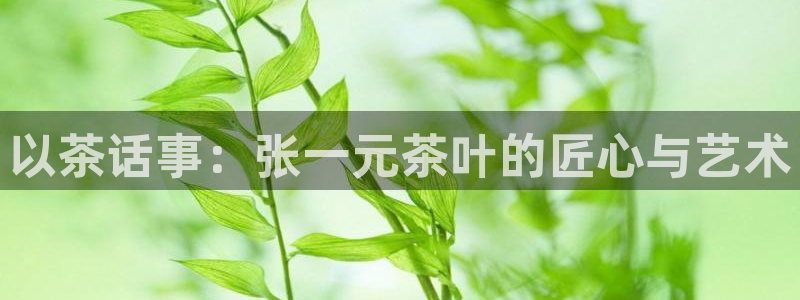 金年会com