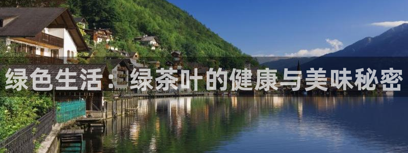 金年会体育官方网站
