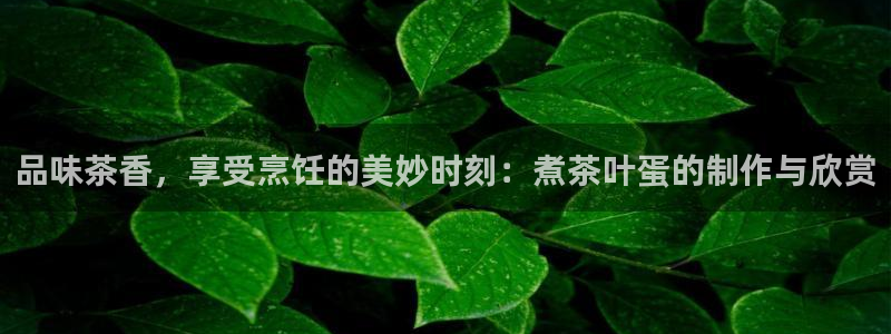 年会金句心得
