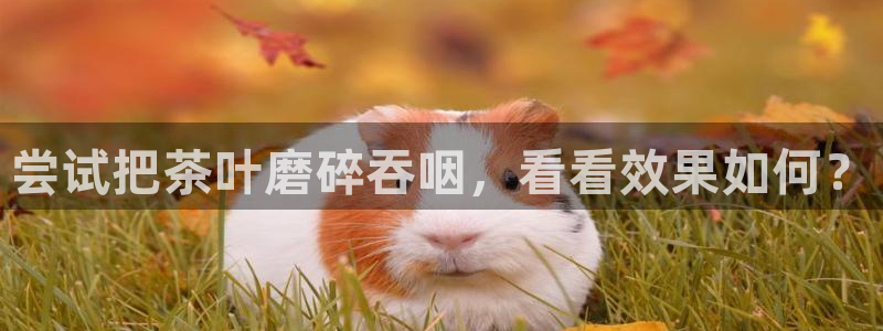 金科年会图片