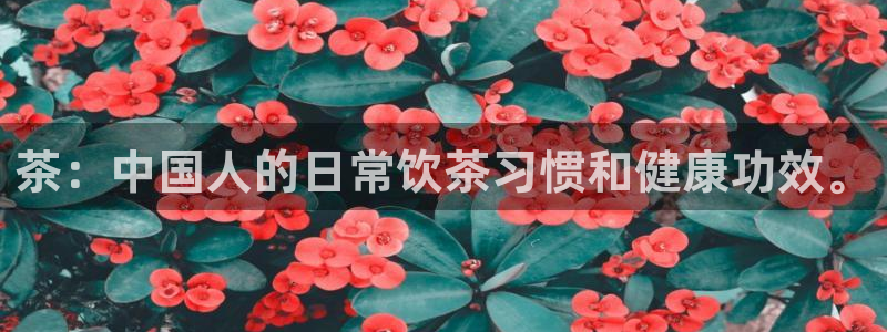 金年会在线入口