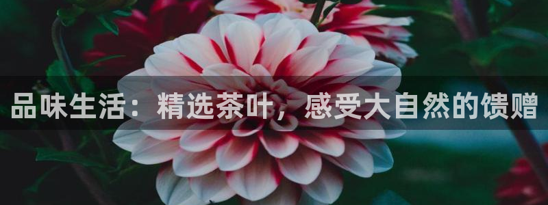 金年会体育平台在线登录