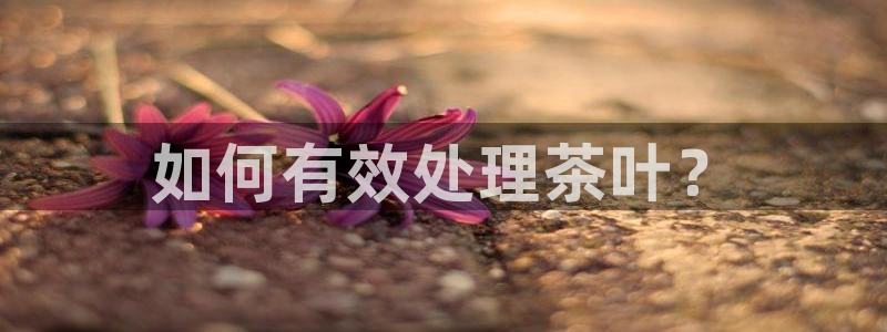 金年会官方网站