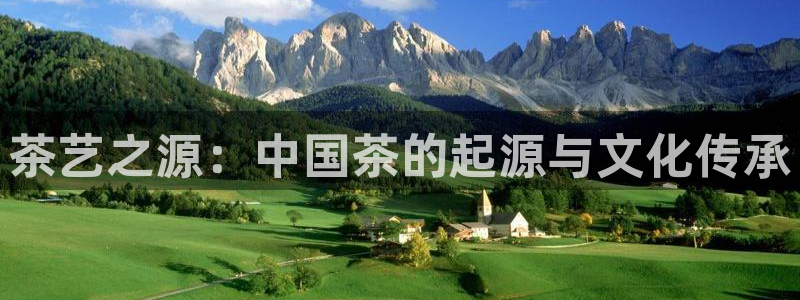 金年会官方在线登录