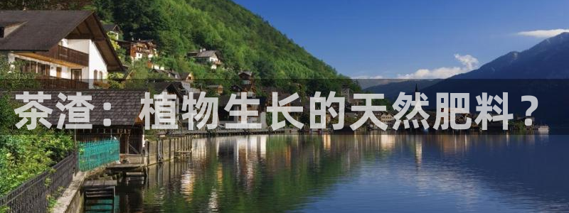 金 金年会