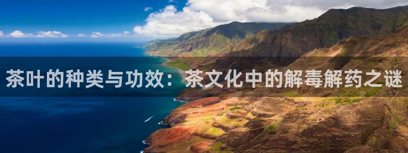金年会 金字招牌