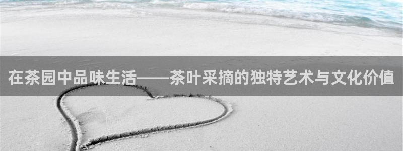 金年会APP黑钱