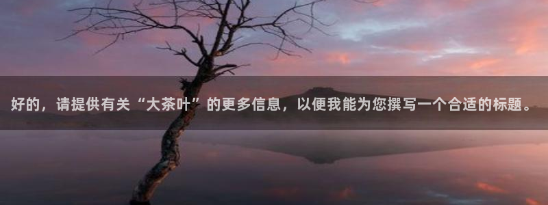 金年会彩票软件