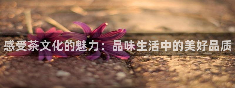 金年会会