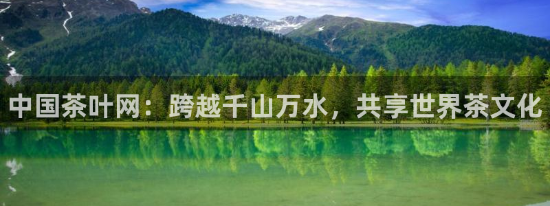 金年会金字招牌至上