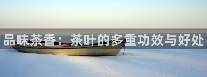 金年会娱乐app