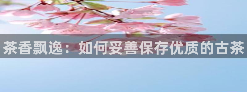金年会登陆