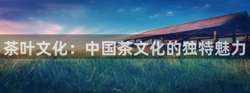金年会游戏官网