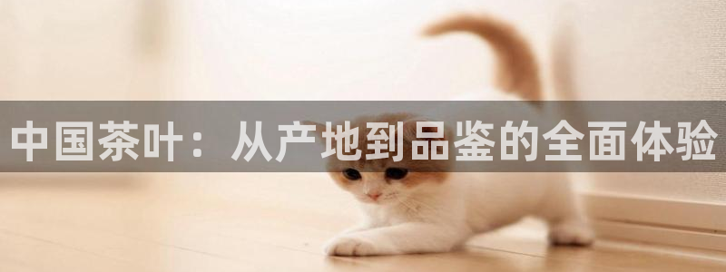 金年会18 28