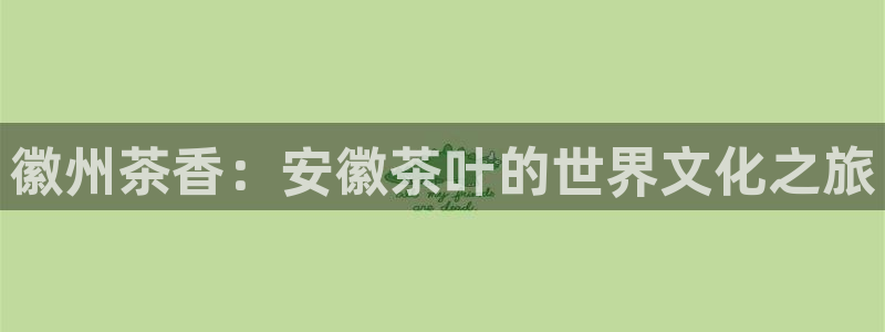 宝金年会