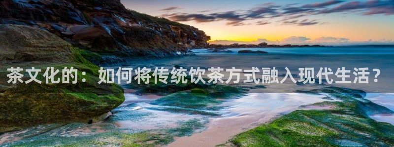金年会电子
