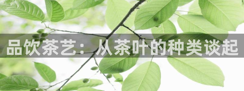 金年会官网