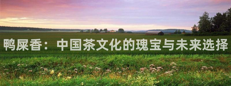 金年会 平台